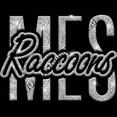 GLT95 SILVER GLITTER Thumbnail